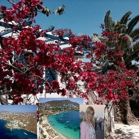 Magical Ornos! Beach House!Beach 1' Walk-Mykonos Town 2Km Buitenkant foto