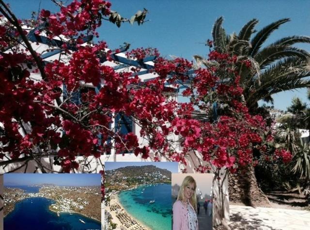 Magical Ornos! Beach House!Beach 1' Walk-Mykonos Town 2Km Buitenkant foto